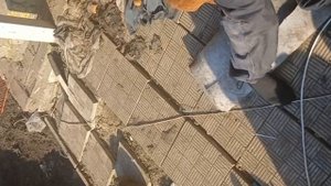 пленный всушник