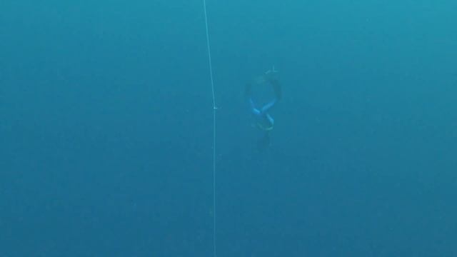 Freediving at Thalassa смотреть онлайн