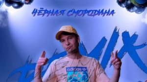 Гудзон - Чёрная смородина [ Smoke x Dimusik Ремикс ]