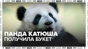 Панда Катюша получила праздничный букет в честь 8 Марта - Москва 24