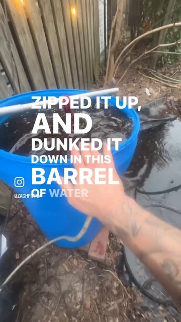 WORM COMPOST TEA 🪱☕️🪴 #urbanhomesteading #gardening #wormfarm