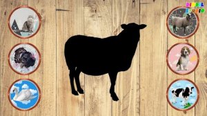 Жануарлар дауысы | Сұлбаға қарап жануарды табу | Ойлан тап | Жинақ