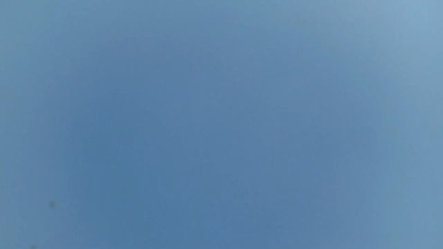 Пакистанские голуби Каждый занимается своим делом смотреть онлайн