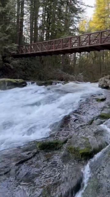 Massive water Lacamas Creek! #relaxingwhitenoise #lacamascreek