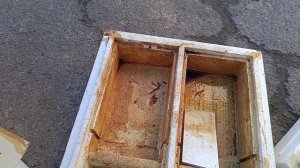 Черная плесень в кормушках ППС, что делать?
