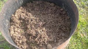 ОПИЛКИ И ЗЕЛЁНАЯ БРОДИЛОВКА.🤔