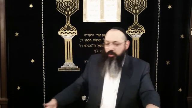 раввин Довид Фельдман , недельная глава Беаалотха,  5781 год. смотреть онлайн