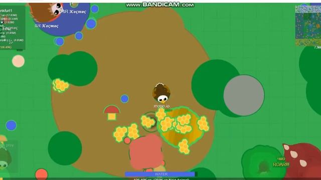 мопио часть 3. Зашёл выше кобры смотреть онлайн