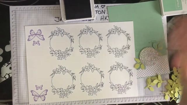 Butterfly Gala January Class