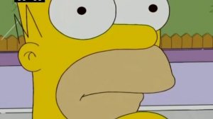 Мозг Гомера