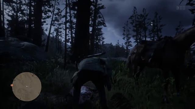 Red Dead Online - American Red Fox Location смотреть онлайн