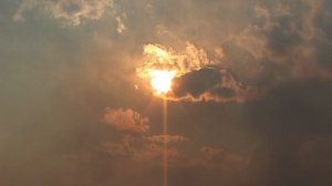 ПОЖАР. ВЕСНА 1-2