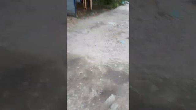 Вот такие улицы в посёлке Майский г. Шахты.