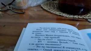 день рождения кота леопольда 4 глава