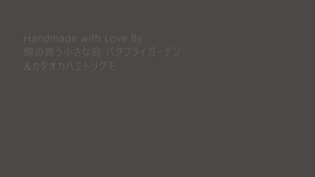 体長わずか数ミリの愉快犯、カタオカハエトリグモに出会いました смотреть онлайн