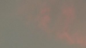 ПОЖАР. ВЕСНА 1-1