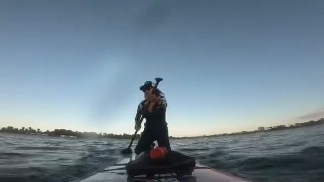 WhatSUP Ride Out Rough Water