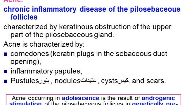 Phytotherapy for urinary system and skin
