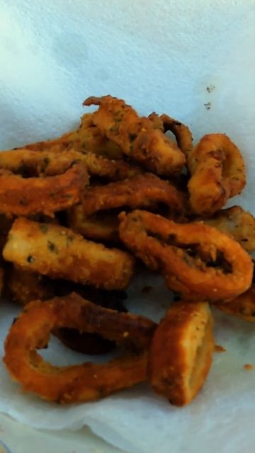 Calamari Catch & Cook #shorts #australia #fishing #squid#calamari #trending #cooking #catchandcook смотреть онлайн