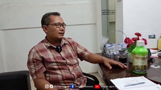 cara mengatasi Serangan Hama Serangga [Oryctes] Kumbang Tanduk , Ini Solusinya!! смотреть онлайн