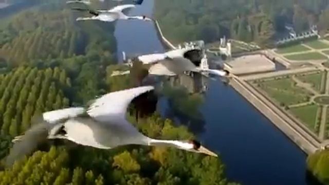 11 ноября 2018 г. смотреть онлайн