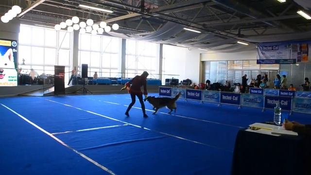 DSC 6722 Самойлова Вега смотреть онлайн