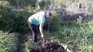 Грядка под огурцы