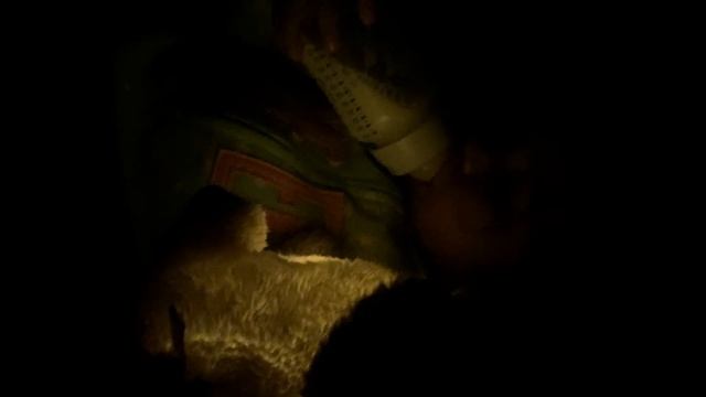 Fisher Price otter soother