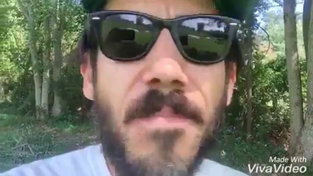 Disappearing chicken! смотреть онлайн