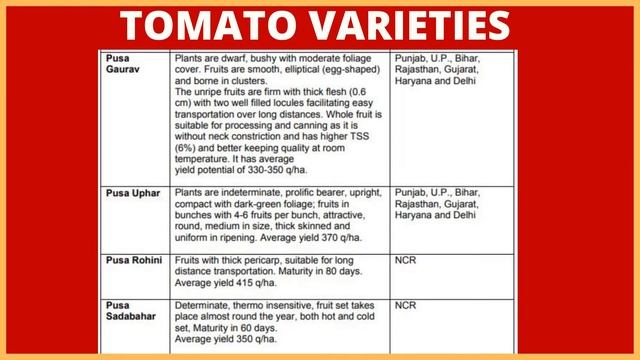 30 Tomato Varieties/Hybrids in India -Tomato Characteristics - Tomato Growing Regions - Tomato Type