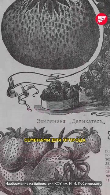 Старейший магазин цветов в самом центре Казани, работающий с 1900 года #казань #татарстан #цветы