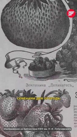 Старейший магазин цветов в самом центре Казани, работающий с 1900 года #казань #татарстан #цветы