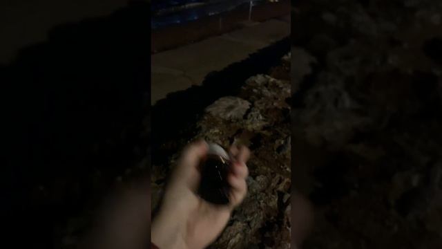 Lalique🌞 Solei vibrant - mini recenzja смотреть онлайн