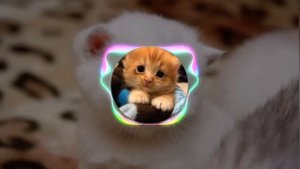 Песня котики хорошие ( не оригинал ) :3