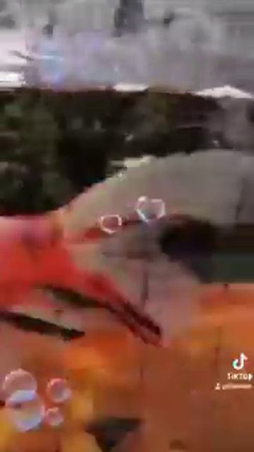 #shorts اجمل منظر طبيعي ممكن تشوفه. سبحان الله خلق فأبدع смотреть онлайн