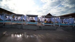 Panorama delux 2021 в Кирилловке