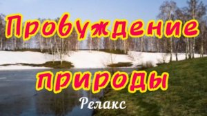 Пробуждение природы