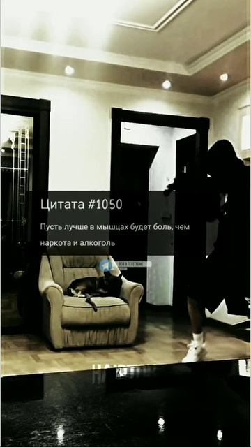 Цитаты и Афоризмы Актеров, Писателей, Музыкантов, Бизнесменов, Философов, Художников, Спортсменов.
