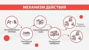 Пример озвучивания — диктор Елена Орлова (06.2020) «Суперлимф»