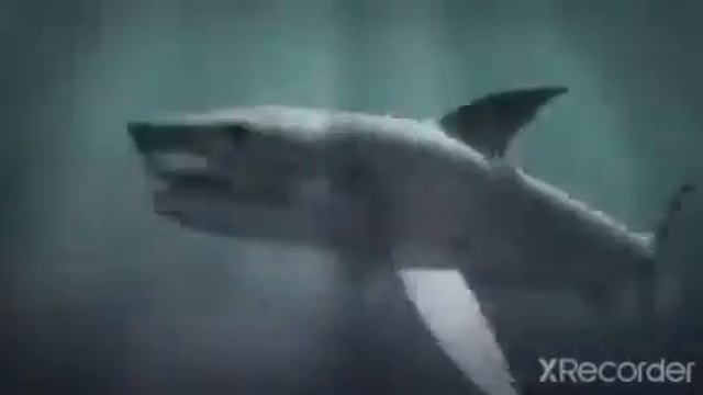 2 Headed Shark Attack (MUSIC VIDEO) Linkin Park in the end смотреть онлайн