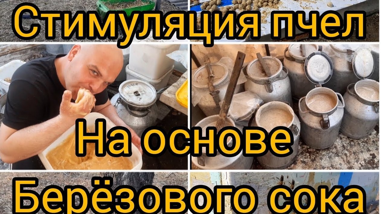 Стимуляция пчело-семей для бурного наращивания силы, и продажи достойных пчелопакетов!