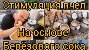 Стимуляция пчело-семей для бурного наращивания силы, и продажи достойных пчелопакетов!