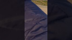 Дельфины и море