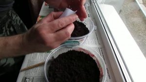 Дело табак 1