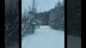 Шиндр Мындр - безработные лодыри, правдивое мнение | Сплетница