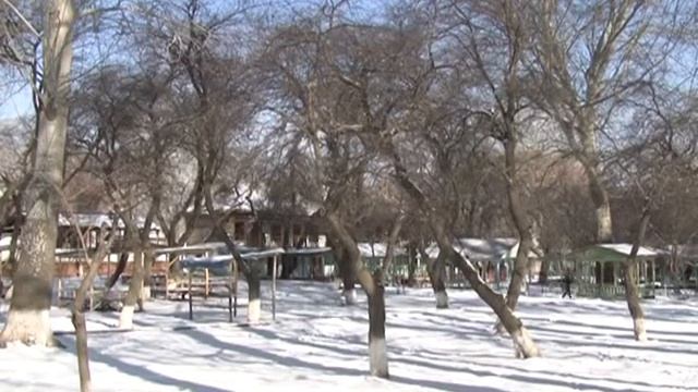 Аманат: Сахаба багындагы маселе