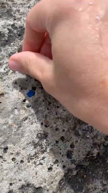 Находка на Чёрном море #всочиумаши