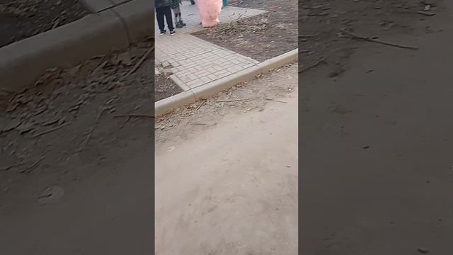 МЕДВЕТЬЬЬЬЬ