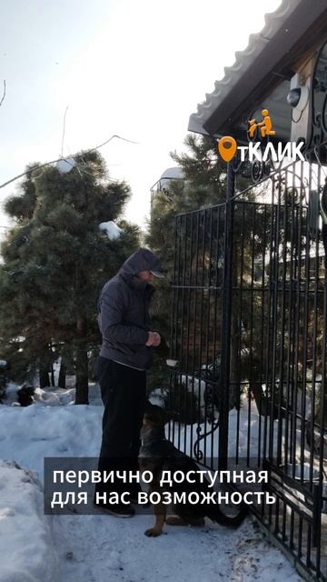 Первые команды щенка