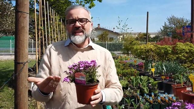 Le erbacee perenni смотреть онлайн